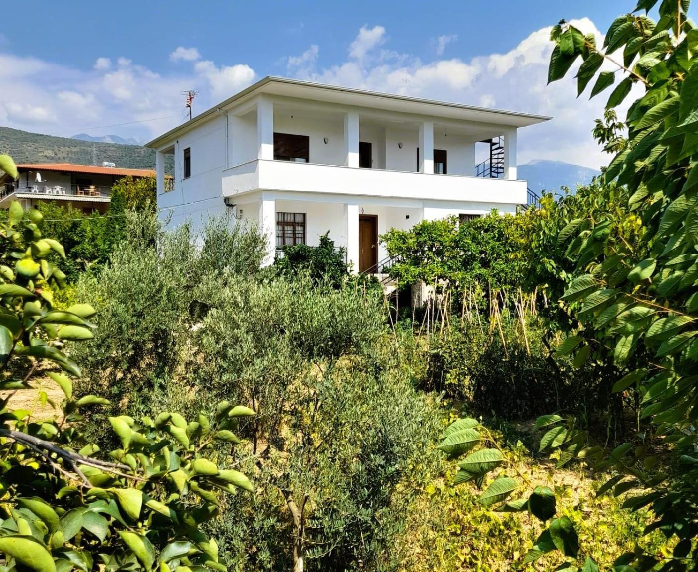 Villa Besart Μπεράτ Εξωτερικό φωτογραφία